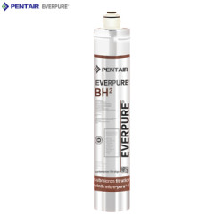 EVERPURE 爱惠浦 过滤器滤芯 BH2净水器 *3件