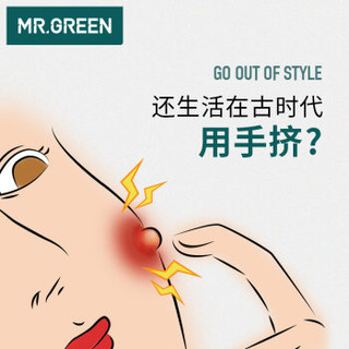 Mr.Green 匠の技 M-2163 粉刺针