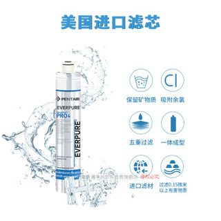 EVERPURE  爱惠浦 Microgard Pro4净水器  滤芯