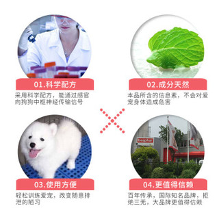 beaphar 贝帮 幼犬排泄训练剂 20ml