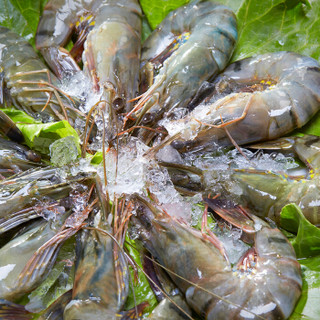 简单滋味 越南黑虎虾 16-20只 400g