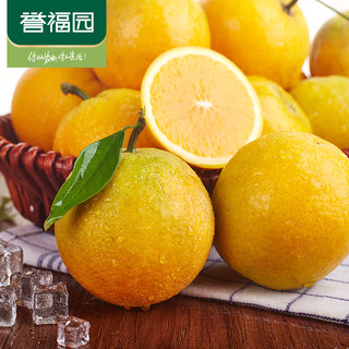 誉福园 秭归夏橙脐橙大果 单果果径80-90mm 10斤