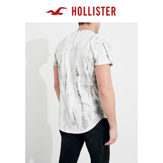 HOLLISTER 204263 男士印花T恤