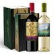 圣丽塔 国家画廊系列典藏葡萄酒 750ml*2瓶 双支礼盒装 智利进口葡萄酒
