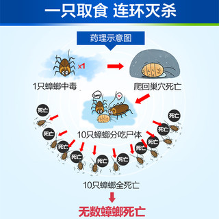 BAYER 拜耳 蟑螂胶饵 5g + 除敌 5ml*4支