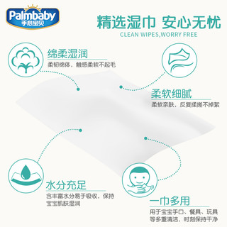 palmbaby 手心宝贝 婴儿手口湿巾 80抽*5包