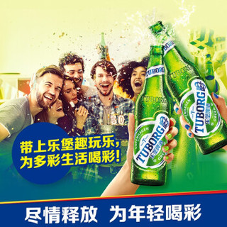 Tuborg 乐堡 啤酒 330ml*24支整箱