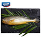 海名威 国产冷冻黄花鱼（大黄鱼） 600g 单条装（买二送一小黄鱼500克） *4件