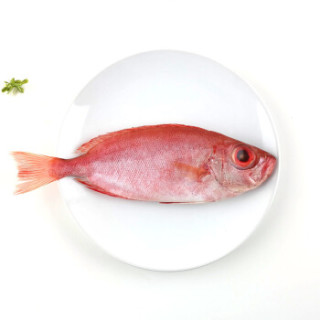 马来西亚野生长尾大眼鲷鱼 300g(3条)
