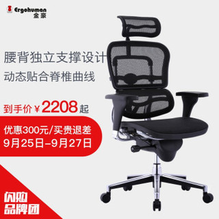 Ergonor 保友办公家具 人体工学电脑椅 金豪标准版 银白色