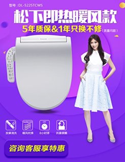 Panasonic 松下 DL-5225TCWS 即热式智能马桶盖板