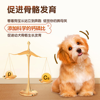 Pedigree 宝路 肉类蛋奶蔬菜谷物配方幼犬粮 4kg