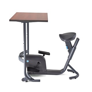 LifeSpan 莱仕邦 Unity Bike Desk 办公健身车