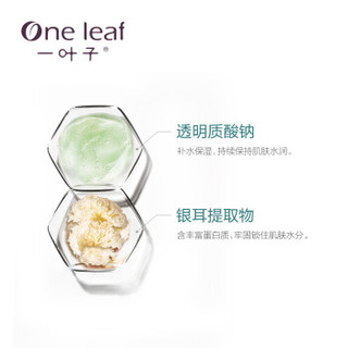 one leaf 一叶子 诺丽果青春晚安冻膜 135g