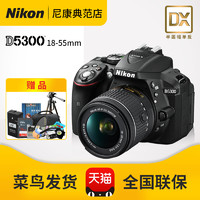Nikon 尼康 D5300+AF-P(18-55)镜头 数码单反相机