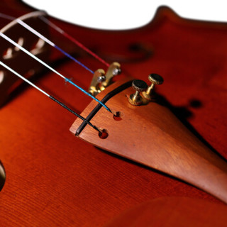 红棉 Kapok）手工实木小提琴成年人儿童考级演奏小提琴初学小提琴S-30 1/4