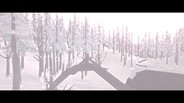 《The Long Dark（漫漫长夜）》数字版游戏