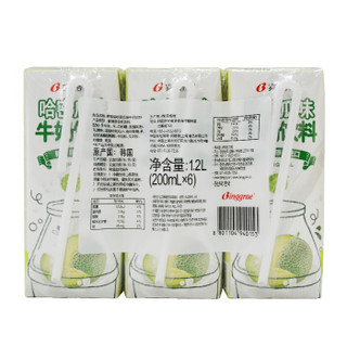 Binggrae 宾格瑞 韩国哈密瓜牛奶风味乳饮料200ml