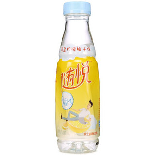 Mizone 脉动 随悦 海盐柠檬柚子味 维生素饮料 480ml