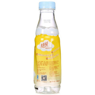 Mizone 脉动 随悦 海盐柠檬柚子味 维生素饮料 480ml