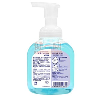 Walch 威露士 泡沫洗手液 300ml