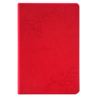 GuangBo 广博 FB60316 笔记本 128页 (红色、单个装、A5)