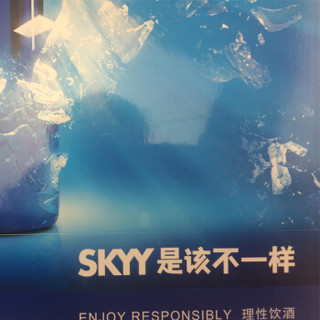  SKYY Vodka 深蓝 伏特加礼盒（2016年礼盒）