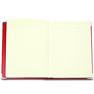 M&G 晨光 APY4G411 皮革日记本 100页 (红色、单本装、A5)