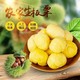 湘之忆 生板栗 5斤