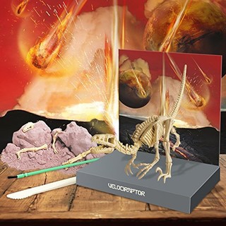 4M 恐龙考古系列 迅猛龙考古挖掘