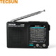 TECSUN 德生 R-909  收音机