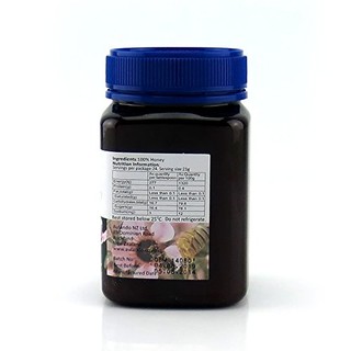 HEALTH LIFE 海斯拉夫 麦卢卡蜂蜜 20+ 500g