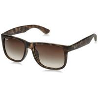 Ray·Ban 雷朋 RB4165 太阳镜 棕色