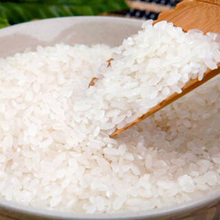 达米食代 五常长粒香米 5kg