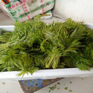 鸿铭典 香椿 1kg