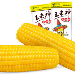 Corn God 玉米神 新鲜糯玉米10棒粘甜黏现摘真空袋装包整箱东北黄粒非转基因