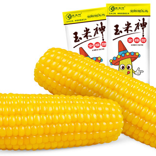 Corn God 玉米神 糯玉米系列 金糯甜玉米 220g*10袋