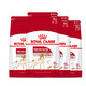 ROYAL CANIN 皇家 M25 中型成犬粮 16kg（4kg*4包）