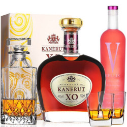 PASSTON 派斯顿 卡尔威庄园 XO 40度 白兰地 700ml 礼盒装 *3件