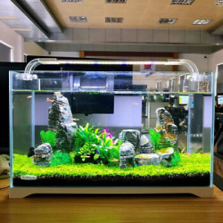 省58 4元 森森鱼缸生态水草缸小型超白玻璃热带鱼水族箱迷你桌面金鱼缸600 Hbl403 8w灯 造景两套zj18多少钱 什么值得买 省58 4元 森森鱼缸生态水草缸小型超白玻璃热带鱼水族箱迷你桌面金鱼缸600 Hbl403 8w灯 造景两套zj18多少钱 什么值得买