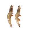 舌尖海事 厄瓜多尔白虾 净重1.8kg 14-15cm 60-80只