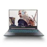 Hasee 神舟 战神系列 Z8-CT5N1 笔记本电脑 (黑色、酷睿i5-9300H、8GB、512GB SSD、RTX 2060 6G)