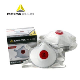 DELTAPLUS 代尔塔 104019 头戴式口罩 5只装