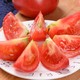 佑嘉木  普罗旺斯沙瓤西红柿 净重5斤