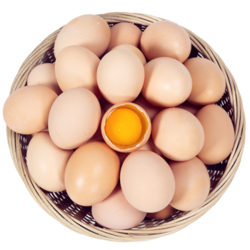 乡土季 土鸡蛋 30枚 净重1100g以上