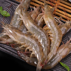 大虾鲜活海鲜水产活虾超大野生非基围虾鲜虾青虾对虾厄瓜多尔海虾