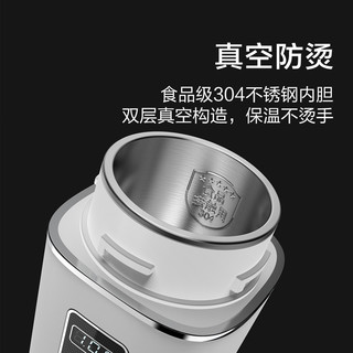 DAEWOO 大宇 便携式调奶器电热水壶 奶茶白