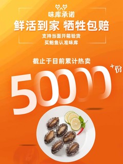 味库 鲜活鲍鱼（15-18头） 500g