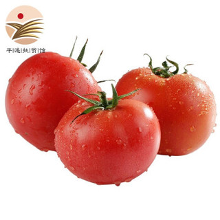 晋村 攀枝花沙瓤西红柿 5斤