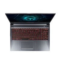 ThundeRobot 雷神 911M 野王 15.6英寸 游戏本 银色(酷睿i7-10750H、GTX 1650 4G、8GB、512GB SSD、1080P、IPS、60Hz）